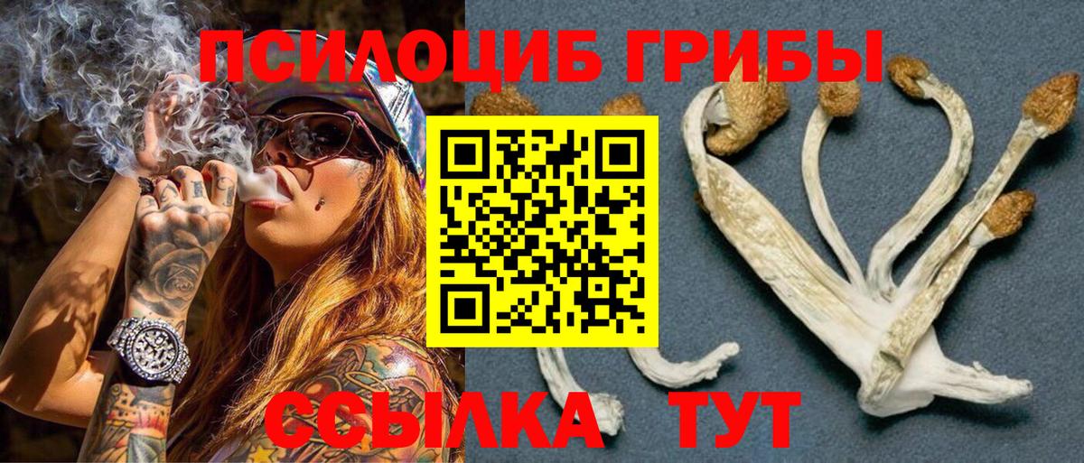 Туапсе  Галлюциногенные грибы Magic Shrooms  Вход с VPN 