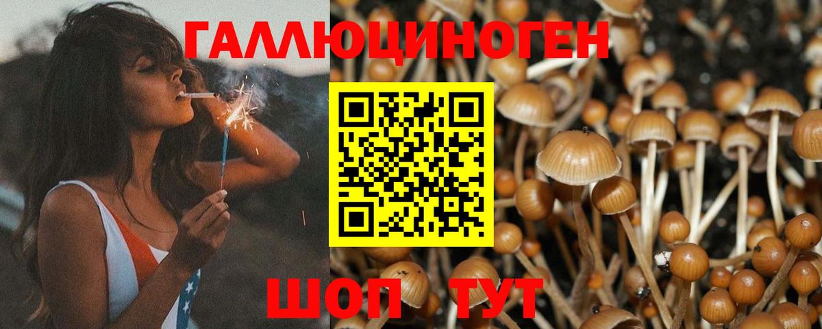 Псилоцибиновые грибы MAGIC MUSHROOMS Туапсе